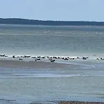 Pleine Mers-les-Bains