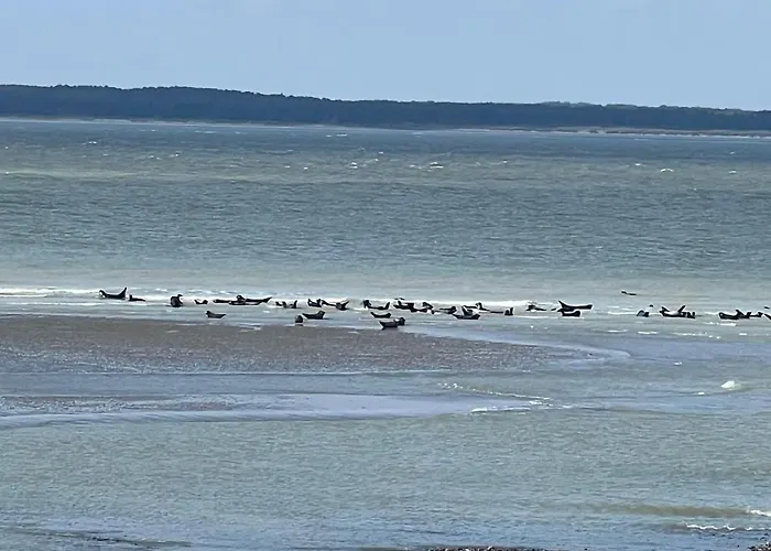 Pleine Mers-les-Bains